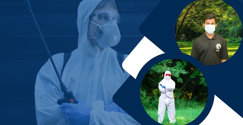 Ozone Pest Control Team